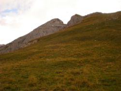 2013-09-08_6Falkenh-Steinfalk (248).JPG